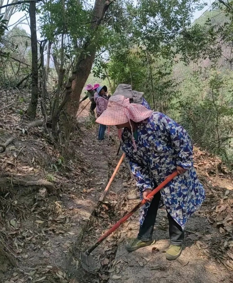 微信图片_20250415144902.jpg