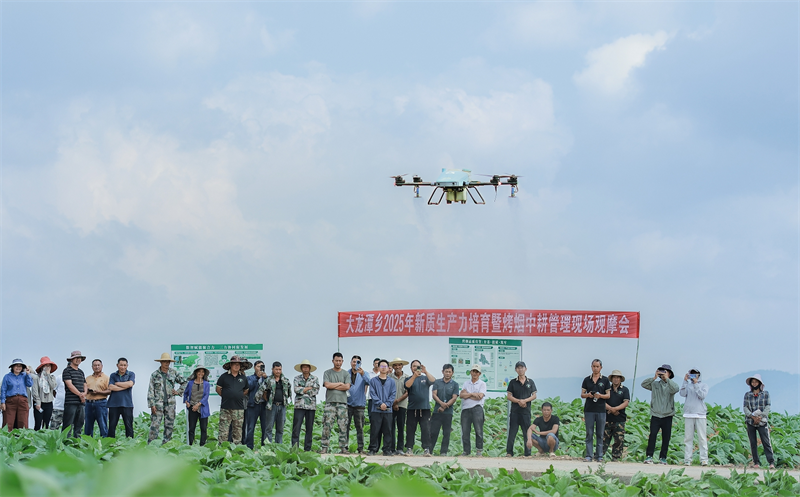 微信截图_20250619090852.png