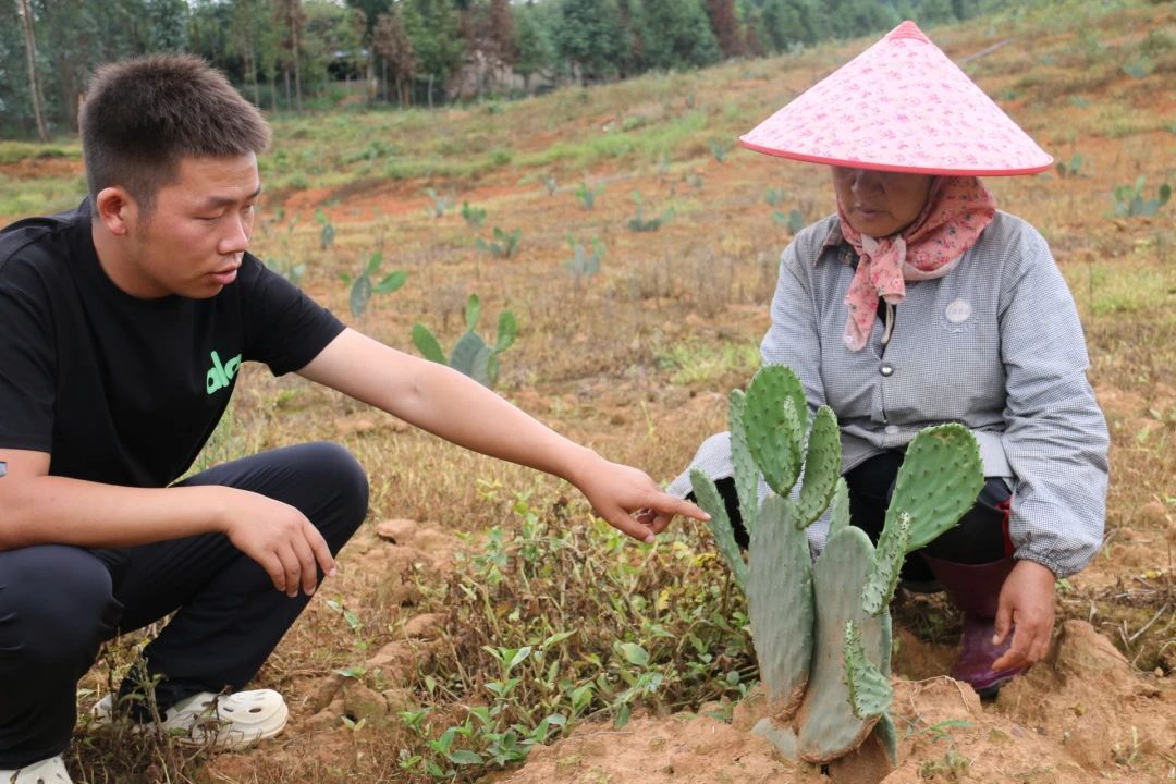 微信图片_20250818162121.jpg