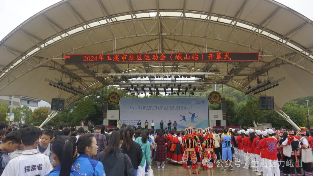 6401.jpg