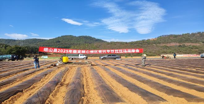 峨山县召开2025年稳定核心烟区暨抗旱移栽现场观摩会.jpg